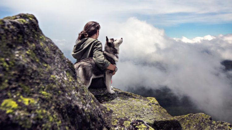 adventure, clouds, dog