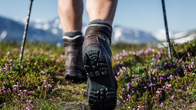 - Popular Outdoorsman