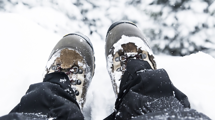- Popular Outdoorsman