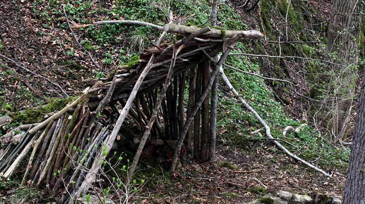 - Popular Outdoorsman