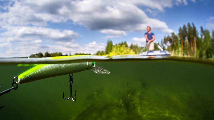 - Popular Outdoorsman