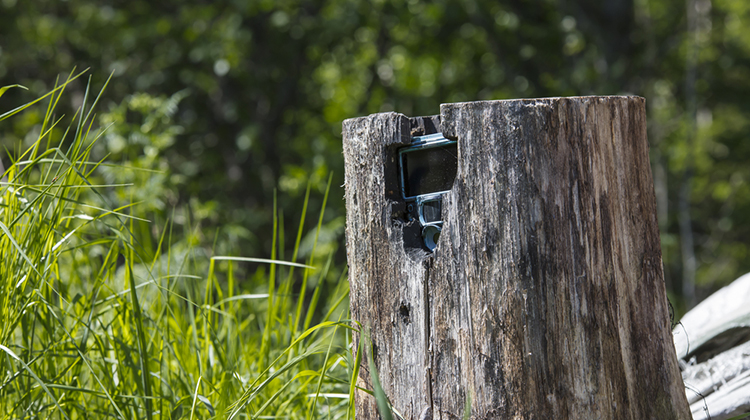 - Popular Outdoorsman
