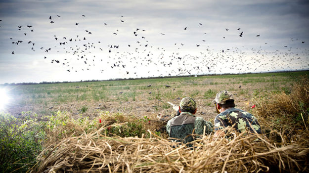 - Popular Outdoorsman