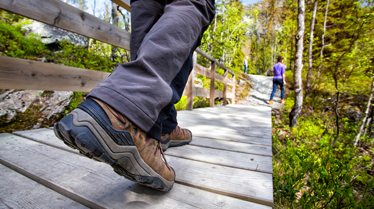 - Popular Outdoorsman