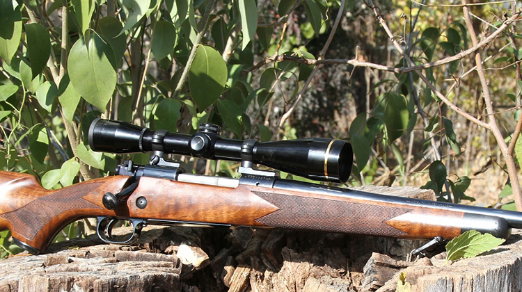 - Popular Outdoorsman