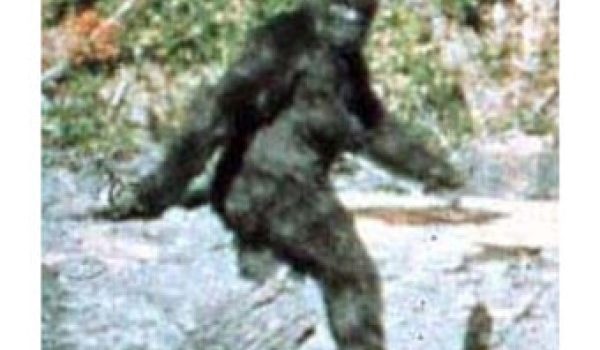 3 Reasons the Bigfoot Legend Will Never Die
