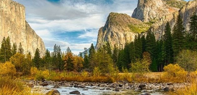 A Hunter’s Open Letter to America’s Vegans