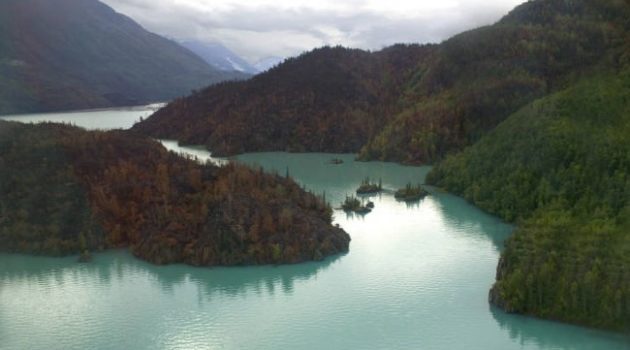 Hallelujah: Great American Outdoors Act Passed!