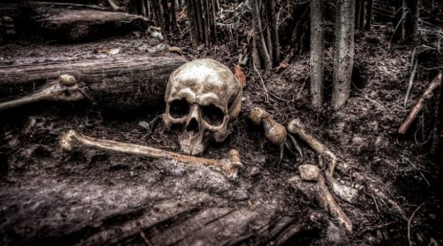 How Do Experienced Outdoorsmen “Disappear”?