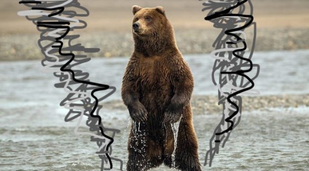 Grizzly-Nado Says: Only You Can Prevent Forest Fires