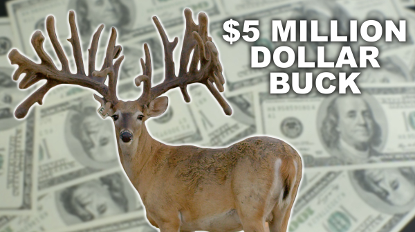 Holy Buck See A 5mil Whitetail Popular Outdoorsman