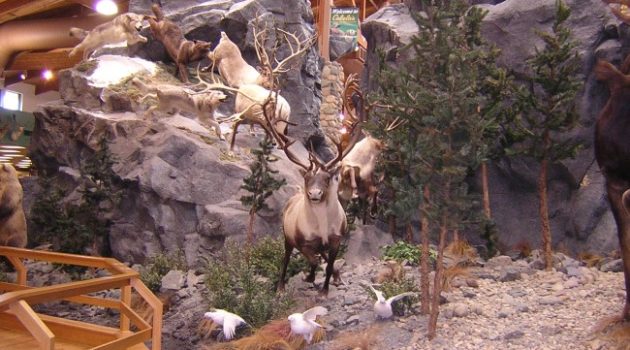 Outdoorsman’s Career: Bass Pro/Cabela’s Hiring 5K People