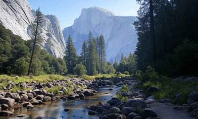 Scenic trail in Yosemite National Park, one of the best hiking areas in the U.S., with lush greenery and stunning natural views.