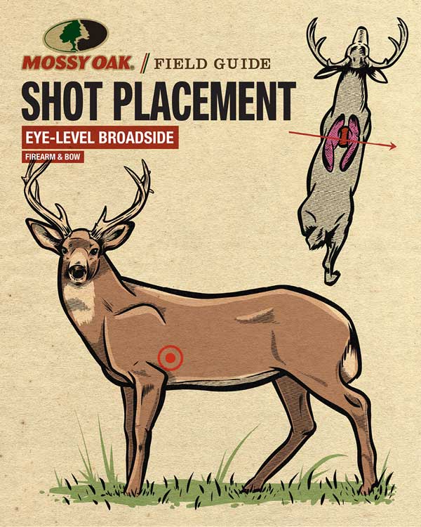 Deer-Shot-Placement-Eye-Level-Broadside - Popular Outdoorsman Broadside deer at eye level, showing shot placement behind the shoulder