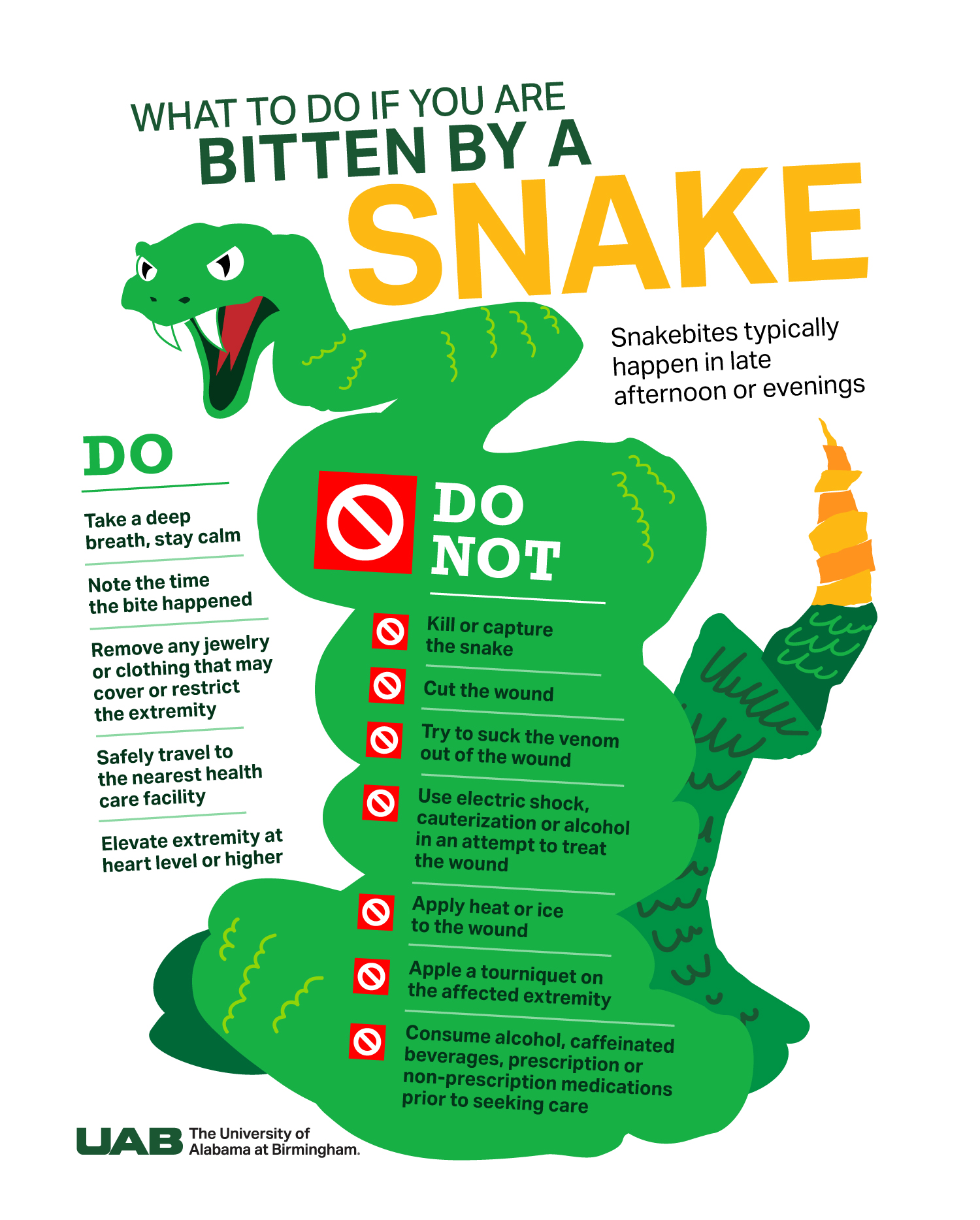 Snake-Bite-Safety-graphic - Popular Outdoorsman Snake Bite Safety graphic