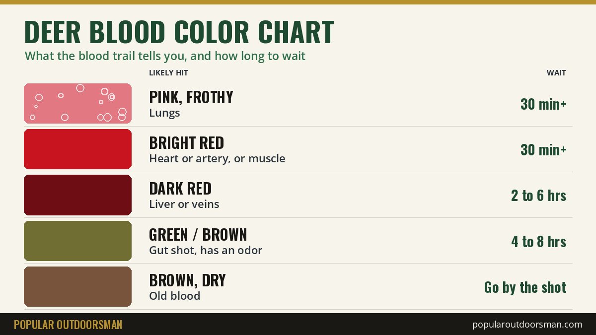 Deer blood color chart: frothy pink for lungs, bright red for heart or artery, dark red for liver, green or brown for a gut shot